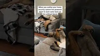 GSD Security System malfunction