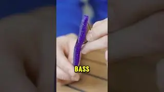 This changed how I fish: Texas Rig