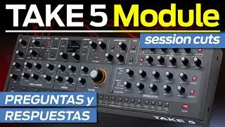 TAKE 5 DESKTOP MODULE SEQUENTIAL, PREGUNTAS Y RESPUESTAS (SINTETIZADOR ANAL&Oacute;GICO POLIF&Oacute;NICO) 🚀🔥