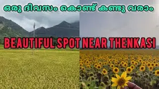 Place To Visit In Thenkasi | Mekkarai paddy village | Sambavarvadakarai | Tenkasi tourist places