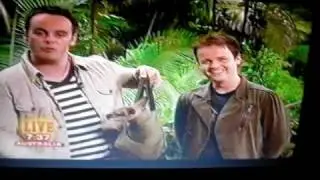 Ant & Dec - I'm A Celeb...2005 - Honey Intro