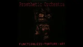 PROSTHETIC ORCHESTRA - Functionless Torture Art 2002 full album