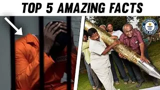 Mind 🤯 हिल जाएगा ये सुनकर | Top 5 Amazing Facts | Factz Tech Universe