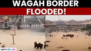 Watch: Pak's Wagah Border Gets Flooded Due To Massive Rains | Wagah Border News