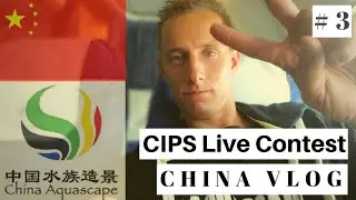 My participation at the aquascaping world championship // CIPS Live Contest // Part 3