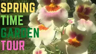 My Springtime Garden Tour (Part 1) | SabinaByNature