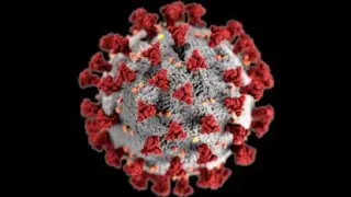 the covid  vaccine fraud. 2025.
