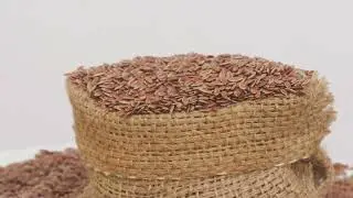 Hemp vs Cotton  Shocking Facts: