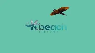 KBeach