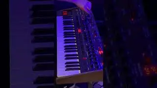OB-6 ⚡️