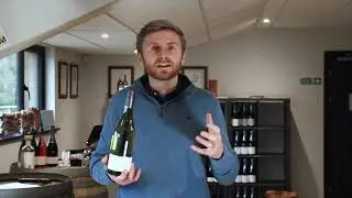 PINOT GRIS - Bolney Wine Estate's Award Winning English Wine