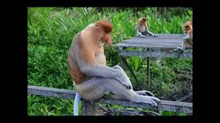 Piękna muzyka relaksacyjna do Snu Spokojna muzyka Relaxing Music