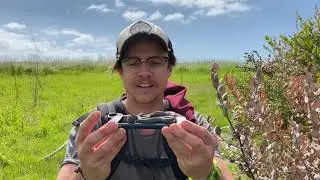 HUGE RINGNECKED SNAKE
