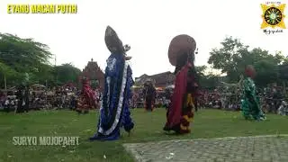 rampokan singo barong eyang macan putih live sumber tempur puri mojokerto
