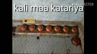 Choti multi malin