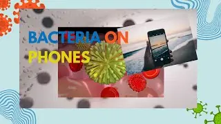 Your Phone Is Dirtier Than a Toilet Seat