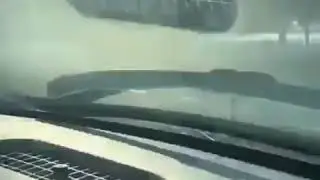 В Альметьевске бегает Бык!