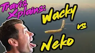 How To Fish a Wacky and Neko Rig for Bass