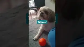 Titanic zatonął!!!