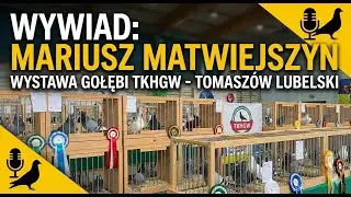 400 LAT LEGENDARNYCH LOTÓW: Gołębie Zamojskie (Perskie) – Majestat na Niebie Zamojszczyzny!