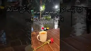 CHAY LOVER 😍☕ #tea #urdu #motivational #poetry #quotes #attitude #history #islamic #success