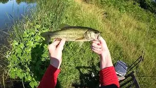 Bass & crappie fishing at Cook County Beck Lake