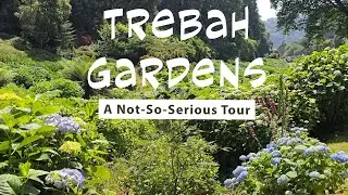 Trebah Garden-Jungle Vibes & Hydrangea Highs &ndash;A Not-So-Serious Tour