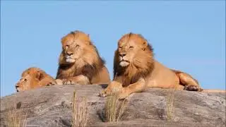 AWAKEN THE PRINCIPLE OF UNITY