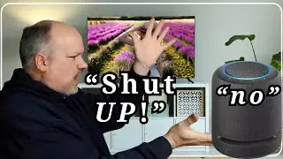Stop Amazon Echo From Constantly Announcing it's Connected!