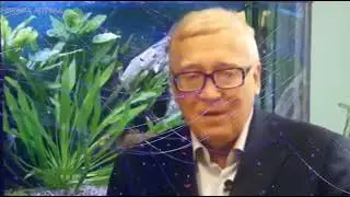 Пётр Гаряев. Решили вырастить Зуб. Можно это ИСПОЛЬЗОВАТЬ.