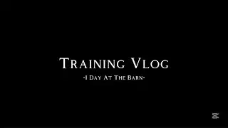 Training vlog - a day at the barn with me