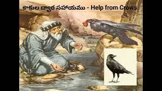 Wild Flowers(అడివి పువ్వులు)- కాకుల ద్వార సహాయము   -Help from Crows- Story(కథ) 15