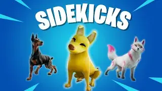ARE FORTNITE SIDEKICKS WORTH YOUR MONEY.. (SURPRISING)