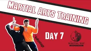 Traditional Aikido Training | Breath Power | Kokyu Nage | Day 7 #martialarts