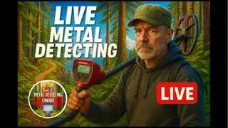 Back to the woods 🌲quick detecting session