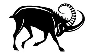 How to Draw a Wild goat / Как нарисовать дикого козла