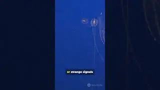 Why Nasa stopped exploring oceans. #allseeingeye #facts #discovery