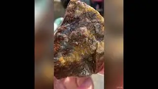 Looking for gold in rocks around far North Queensland