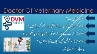 What is DVM || Complete Detail || Applying Procedure || Offering Institute