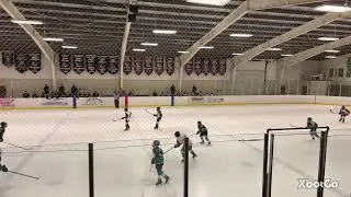 Live Stream - Durham Crusaders vs Douro