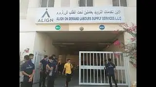 Dubai    🇦🇪🇦🇪Align labours supply company
