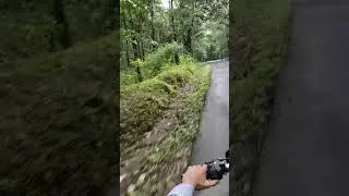 Dandeli to Joida forest View