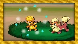 Live Shiny Magby After 3,816 Random Encounters! (Pok&eacute;mon Black 2)