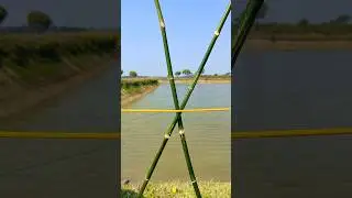Powerful New Rope Knot Trick for Real Use #shorts #knowledge #camping #usa