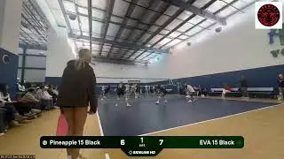 EVA 15 Black vs. Pineapple 15 Black (2026.01.11)