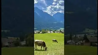 Switzerland edit 💚/RUNAWAY| Recommended headphone|🎧#shorts #aesthetic #switzerland #🇨🇭#edit