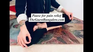 Guided LIVE STREAM Yoga Class #126 | Turtle Flow Yoga