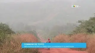 Commune de Toffo : des agriculteurs victimes des changements climatiques