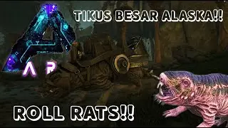 AKHIRNYA TAMING TIKUS BESAR ALASKA!! Ark Survival Evolved Aberration #3