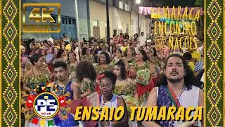 NAÇÃO PORTO RICO NO ENSAIO DO TUMARACA 2023 NA RUA DA MOEDA - RECIFE PE